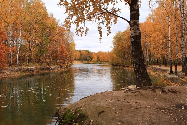 Осень город Чайковский