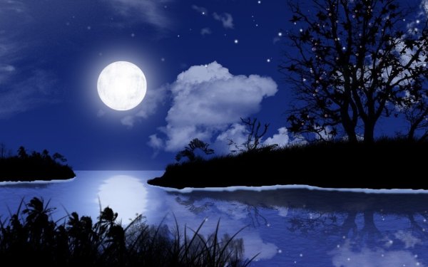 Светлая ночь