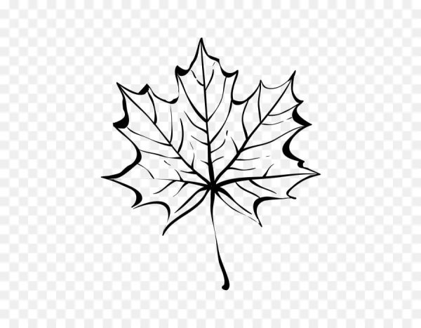 Кленовый лист контур