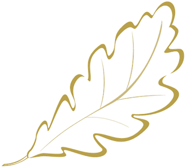 Трафареты "листья"