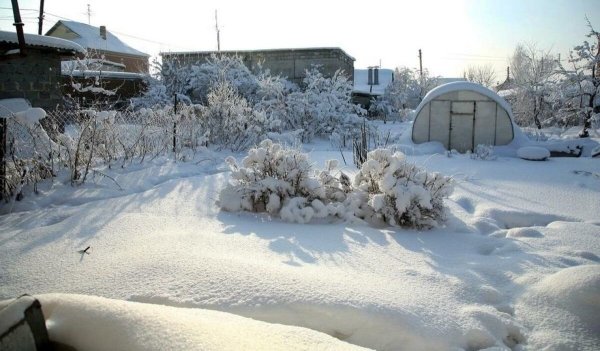 Снег в огороде
