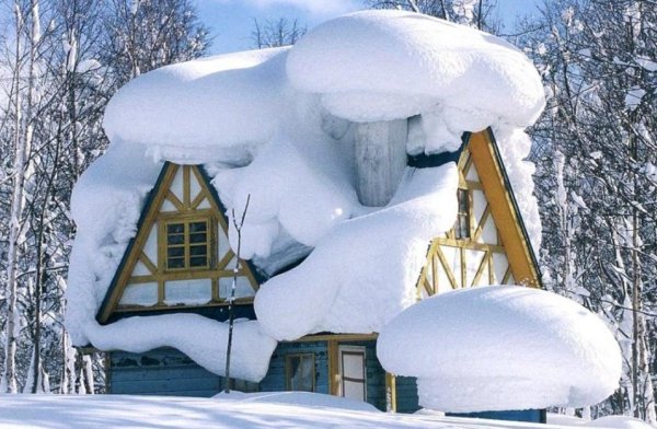 У леса на опушке живет зима в избушке