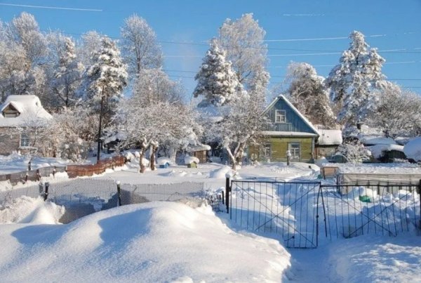 Сад зимой в деревне
