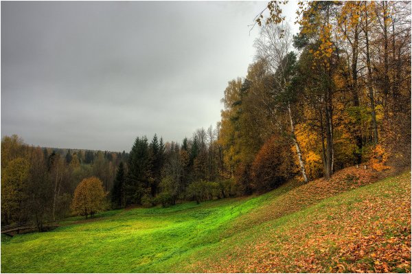 Осенний пейзаж пасмурный