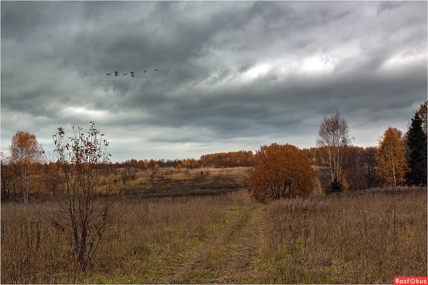 Осень пасмурный день