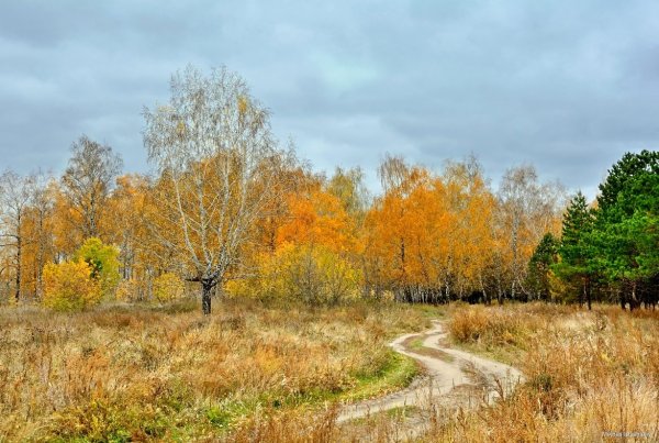 Пасмурная осень