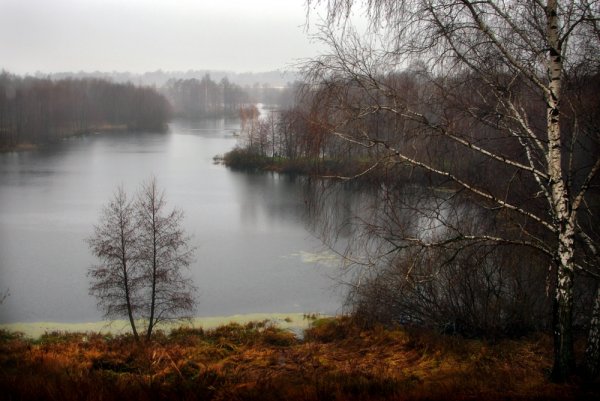 Пасмурная осень