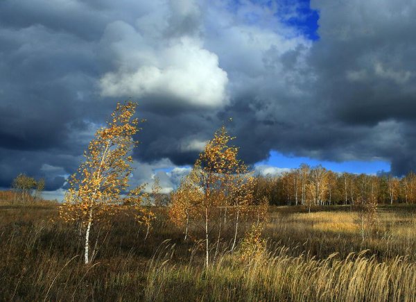 Хмурая осень