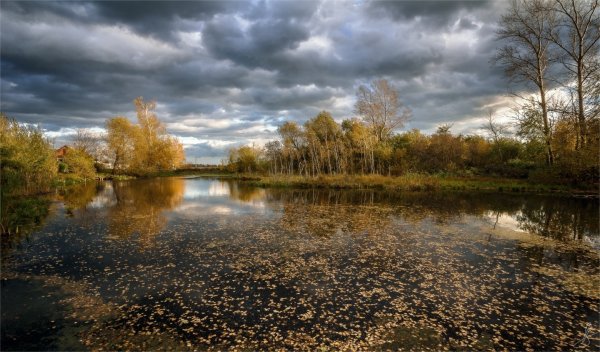Пасмурная осень