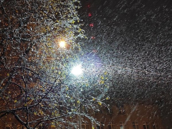 Зимний дождь