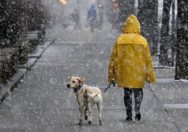 Небольшой снег с дождем