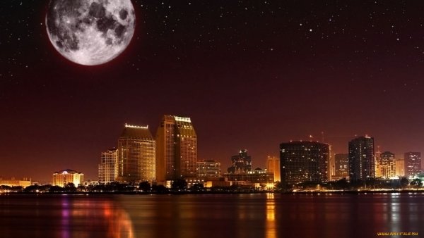 Лунная ночь в городе