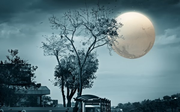 Луна над городом