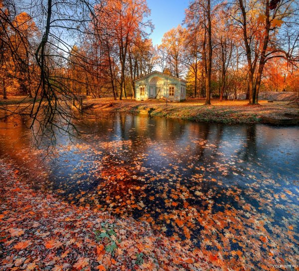Осенний Пушкин Царское село