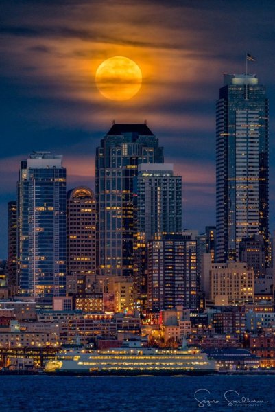 Ночь Луна город