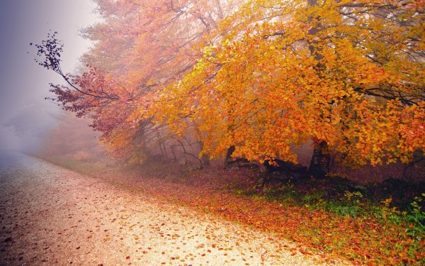Осенний пейзаж
