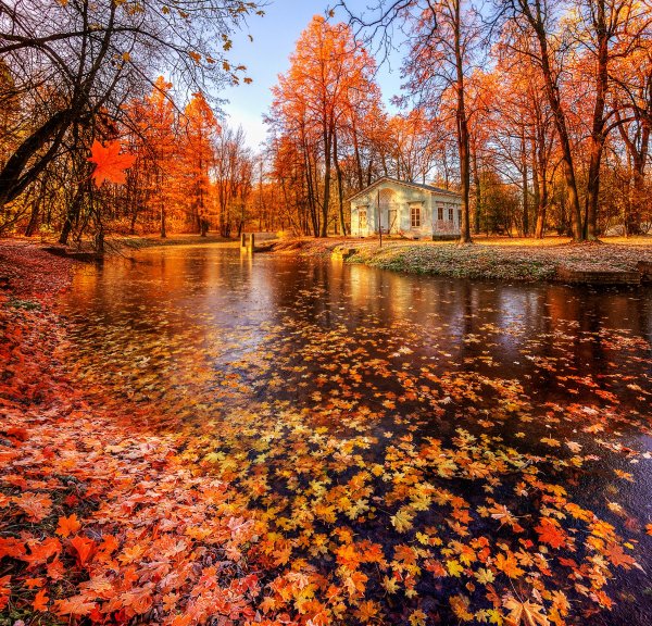 Осень октябрь природа