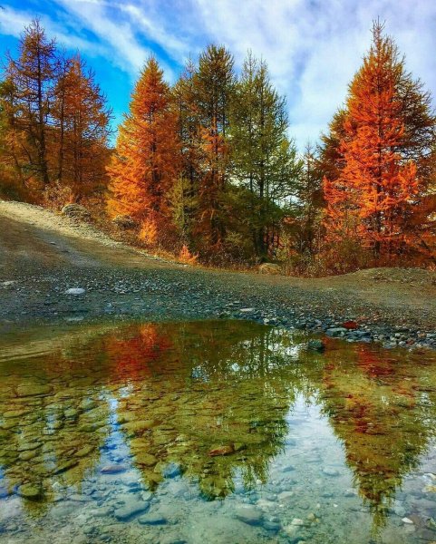 Природа осенью