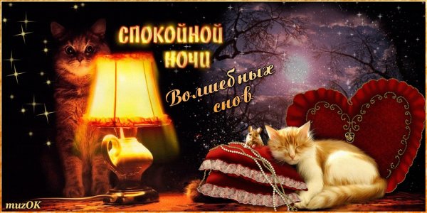 Уютного вечера и сладких сновидений