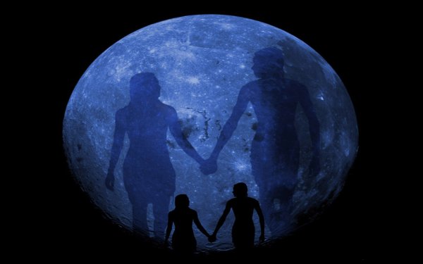 Пара в лунном свете