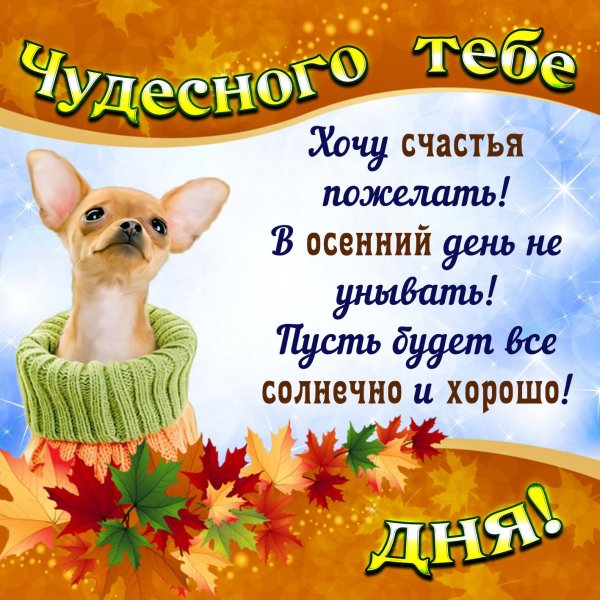 Пожелания хорошего осеннего дня