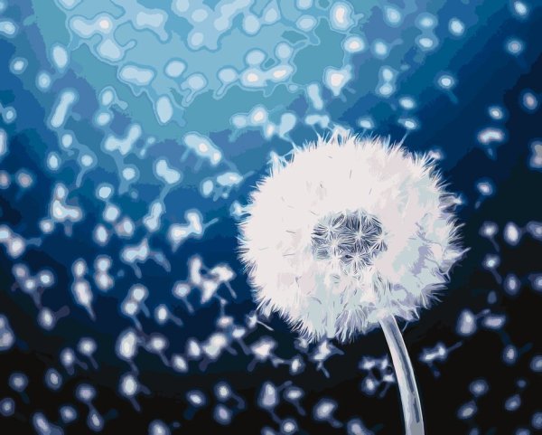 Одуванчики аксесс