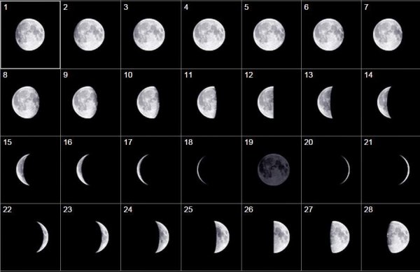 Первая фаза Луны (серповидная Луна)