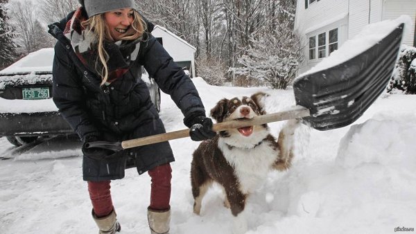 Веселая уборка снега