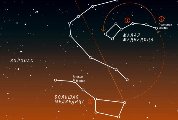 Созвездие большая Медведица и малая Медведица