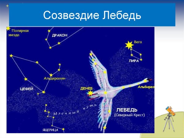 Схема созвездия лебедь самая яркая звезда