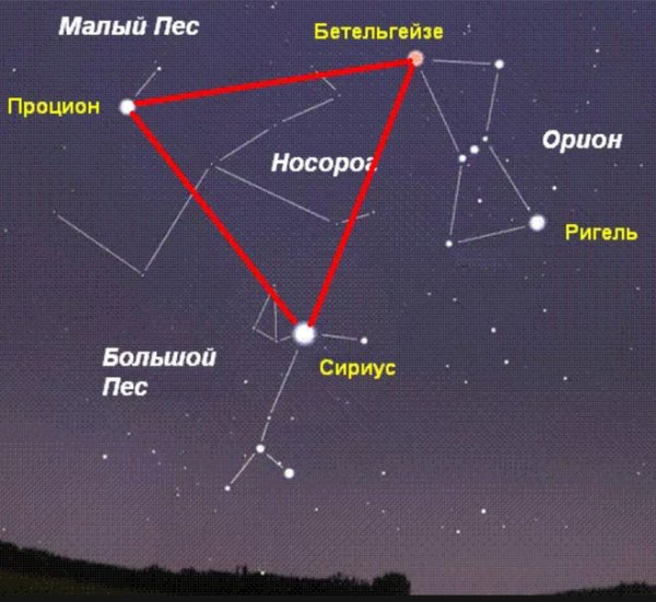 Созвездие Орион и Сириус и Процион