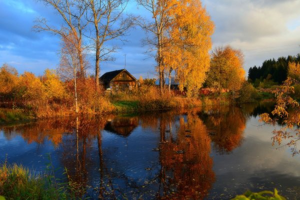 Осенний пейзаж Тульская деревня