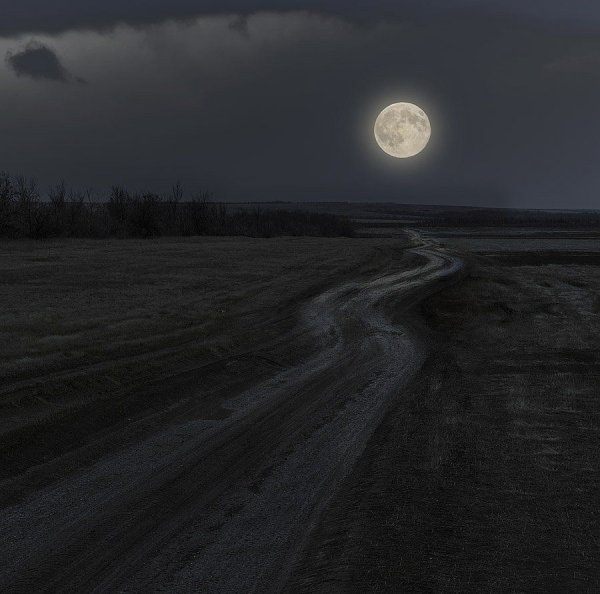 Луна освещает дорогу