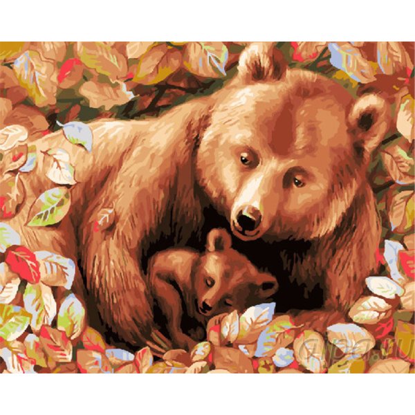 Медвежата Изображения – скачать бесплатно на Freepik