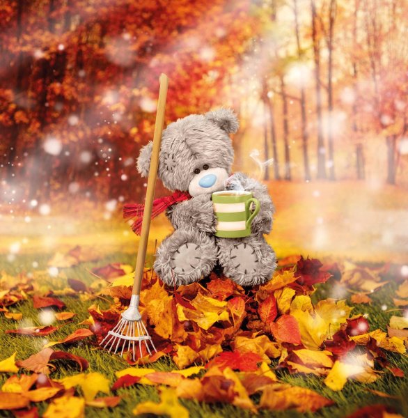 Осенний Медвежонок