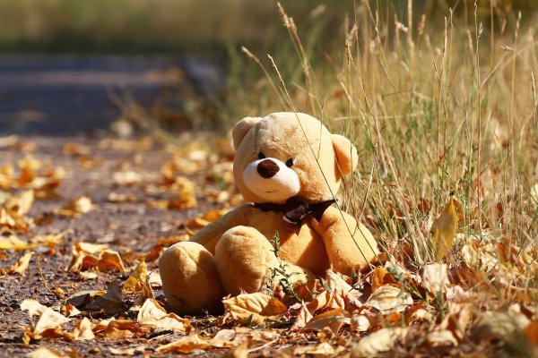 Плюшевый мишка осенью