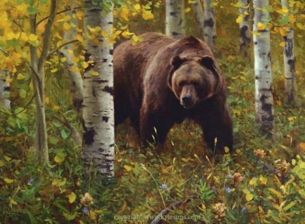 Медведь живопись маслом