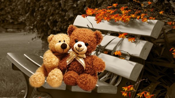 Обои на телефон с мишками