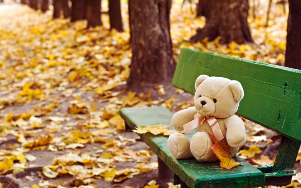 Плюшевый мишка осенью