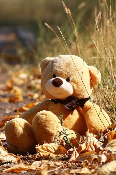 Осенние игрушки