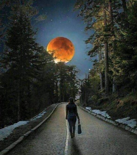 Лунная дорога