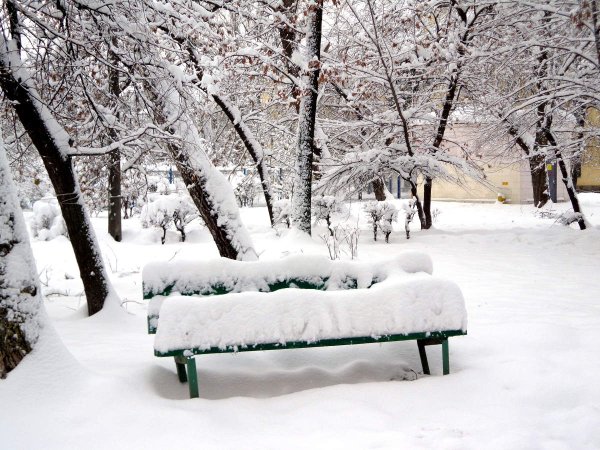 Зимний парк