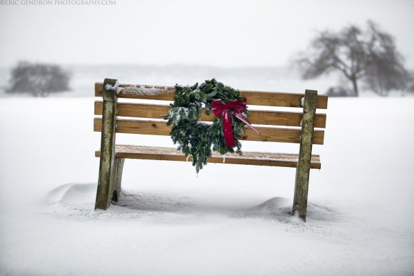 Скамейка в лесу зимой