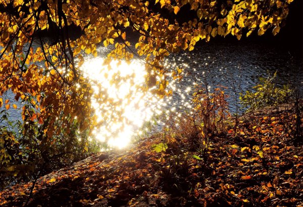 Солнечный осенний день