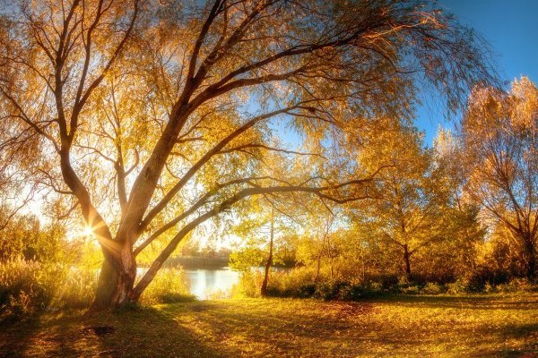 Осень солнце