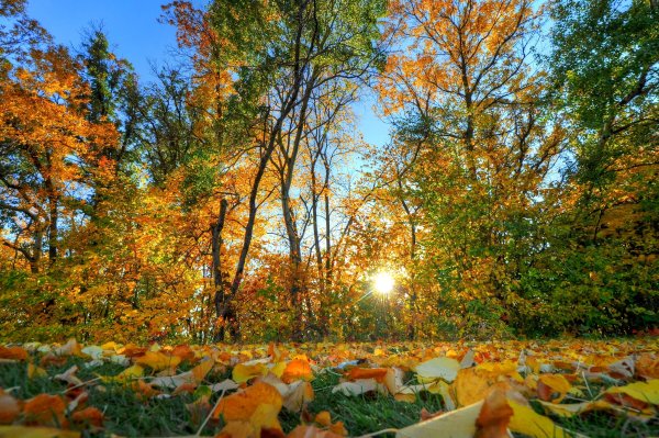 Солнечная осень