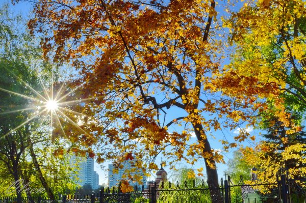 Октябрь природа солнечно