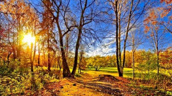 Солнечного ноябрьского дня