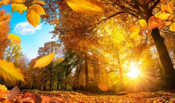 23 Сентября осеннее равноденствие