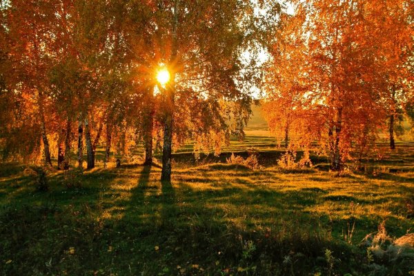 Солнечный осенний день